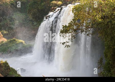 Les chutes du Nil Bleu, Ethiopie Banque D'Images