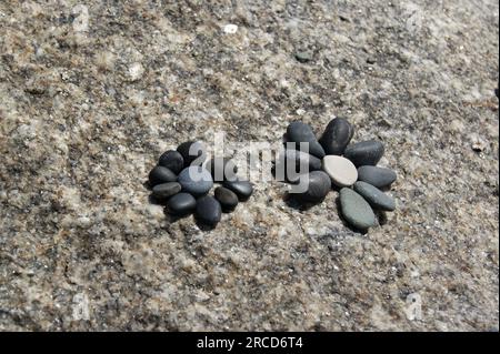 Décor de jardin en pierre. Une fleur en galets sur une pierre. Banque D'Images