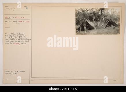 Image montrant des soldats de C Co., 1st Battalion, 167th Infantry (anciennement 4th Regiment, Inf. Ala. N.G.) de la 42e division, stationnée dans des tentes camouflées derrière les lignes près de Suippes, en France. La photographie a été prise le 6 juillet 1918 et approuvée par le censeur de l'A.E.P. le 29 juillet 1918. Banque D'Images