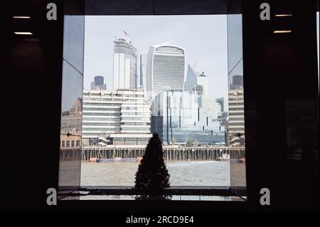 Petit conifère près de la rivière dans la ville moderne Banque D'Images