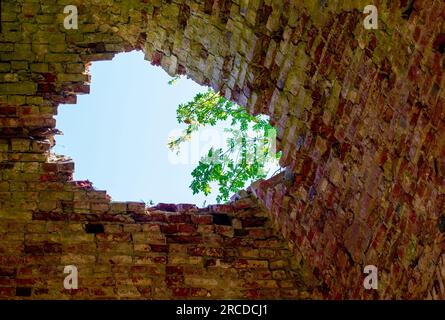 À travers la voûte en dôme en ruine, on peut voir le ciel et un faisceau blanc vert. Attractivité et valeur esthétique des ruines Banque D'Images