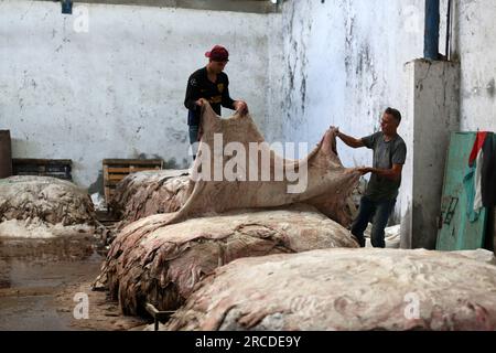 Les Palestiniens de Gaza achètent des peaux d’animaux qui sont abattues pendant l’Aïd al-Adha et y appliquent ensuite du gros sel comme première étape pour les exporter vers des usines en Cisjordanie pour être transformées en cuir pour la fabrication de chaussures. Gaza City, Palestine. Banque D'Images