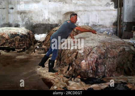 Les Palestiniens de Gaza achètent des peaux d’animaux qui sont abattues pendant l’Aïd al-Adha et y appliquent ensuite du gros sel comme première étape pour les exporter vers des usines en Cisjordanie pour être transformées en cuir pour la fabrication de chaussures. Gaza City, Palestine. Banque D'Images