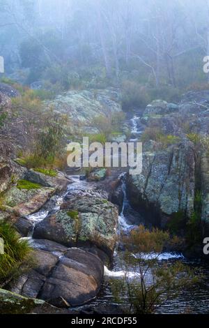 Petite cascade entourée de brouillard, Glen Elgin Creek, New England Tablelands, Nouvelle-Angleterre Australie Banque D'Images