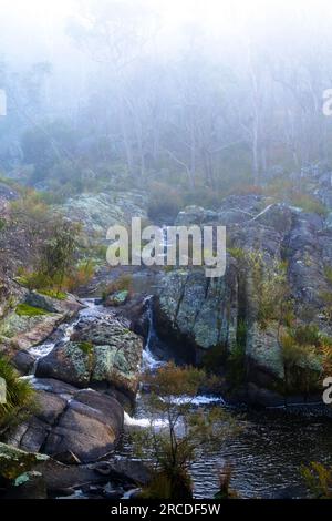 Petite cascade entourée de brouillard, Glen Elgin Creek, New England Tablelands, Nouvelle-Angleterre Australie Banque D'Images