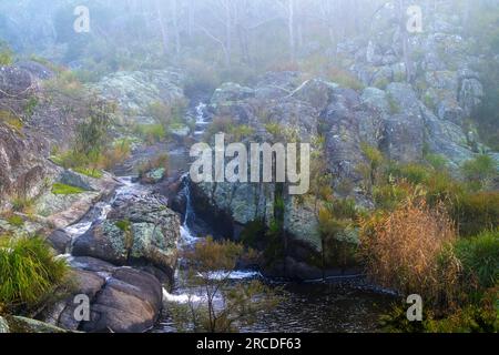 Petite cascade entourée de brouillard, Glen Elgin Creek, New England Tablelands, Nouvelle-Angleterre Australie Banque D'Images