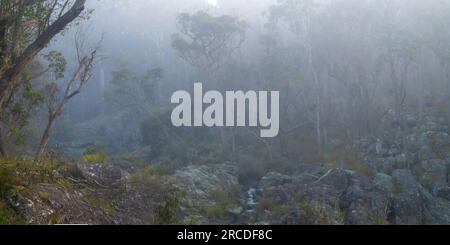 Petite cascade entourée de brouillard, Glen Elgin Creek, New England Tablelands, Nouvelle-Angleterre Australie Banque D'Images