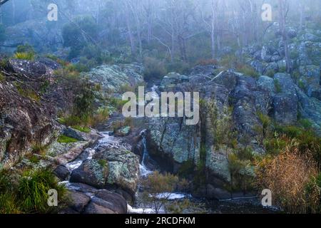 Petite cascade entourée de brouillard, Glen Elgin Creek, New England Tablelands, Nouvelle-Angleterre Australie Banque D'Images