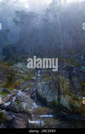 Petite cascade entourée de brouillard, Glen Elgin Creek, New England Tablelands, Nouvelle-Angleterre Australie Banque D'Images