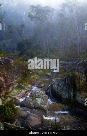 Petite cascade entourée de brouillard, Glen Elgin Creek, New England Tablelands, Nouvelle-Angleterre Australie Banque D'Images