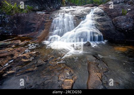 Little basket Swamp Waterfall, basket Swamp National Park, New England Tablelands, Nouvelle-Angleterre Australie Banque D'Images