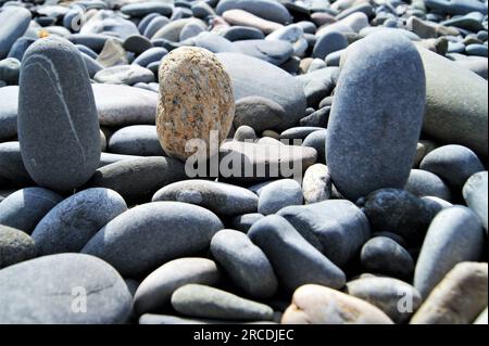 Cailloux sur la plage par une journée ensoleillée. Trois galets ovales sur une plage rocheuse. Banque D'Images