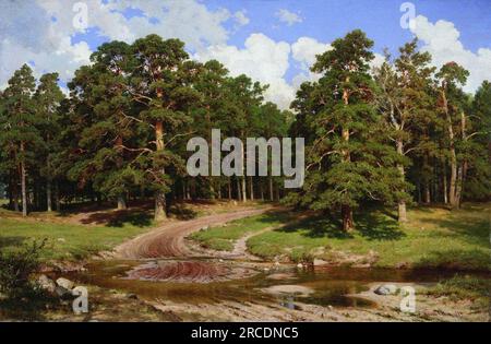 Forêt de pins 1895 par Ivan Shishkin Banque D'Images