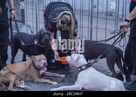 Rome, Italie. 14 juillet 2023 les chiens reçoivent de l'eau à boire alors que Rome vit une autre journée étouffante avec des températures élevées . Le ministère italien de la Santé a émis une alerte rouge alerte canicule pour huit grandes villes en Italie car des températures record devraient basculer au-dessus de 40 ° C/104F pendant la canicule cérébrale dans les prochains jours. Crédit amer ghazzal/Alamy Live News Banque D'Images