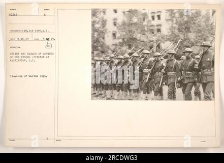 Gros plan des Marines de la deuxième Division participant à un défilé et une revue à Washington, DC La photographie, prise le 18 août 1919 par le sergent Joe Hitz, montre Marine Boys pendant l'événement. Cette image fait partie de la collection 'photographies des activités militaires américaines pendant la première Guerre mondiale.' Délivré sous le numéro 9042238. Banque D'Images