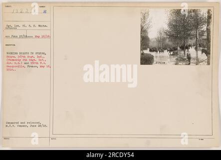 Sergent 1st. Cl. C. H. White du 167th Regiment Infantry, anciennement connu sous le nom de 4th Regiment Infantry, Alabama National Guard, est vu laver des chevaux dans un ruisseau. La photo a été prise à Vacqueville, en France, le 16 mai 1918. L'image a été censurée et diffusée par M.I.B. Censurer le 17 juin 1918. Banque D'Images