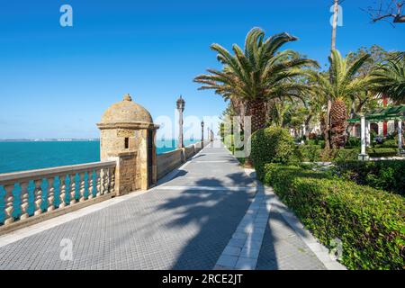 Paseo Santa Barbara au parc génois (Parque Genoves) - Cadix, Andalousie, Espagne Banque D'Images