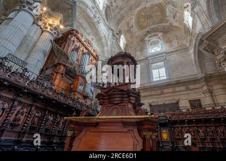 Chœur et orgue à pipe à la cathédrale de Cadix - Cadix, Andalousie, Espagne Banque D'Images