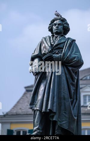 Bonn, Allemagne - 22 mai 2023 : vue de la statue de Ludwig van Beethoven et d'un pigeon au-dessus de celle-ci à Bonn en Allemagne Banque D'Images