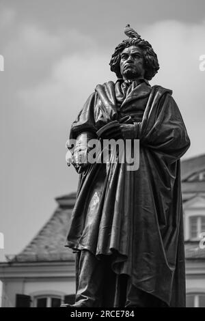 Bonn, Allemagne - 22 mai 2023 : vue de la statue de Ludwig van Beethoven et d'un pigeon au-dessus à Bonn, Allemagne, en noir et blanc Banque D'Images