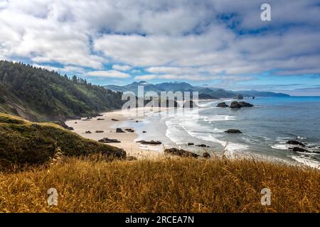 Canon Beach dans le parc d'état d'Ecola, Oregon USA Banque D'Images