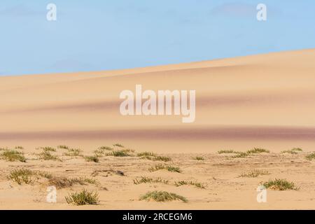 Dunes de sable sur Hoanib Skeleton Coast en Namibie Banque D'Images