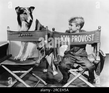 Jon Provost, Lassie, 'Lassie', circa (1958). Crédit photo : CBS Banque D'Images