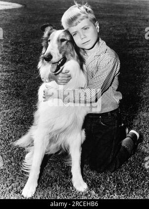 Jon Provost, Lassie, 'Lassie', circa (1958). Crédit photo : CBS Banque D'Images