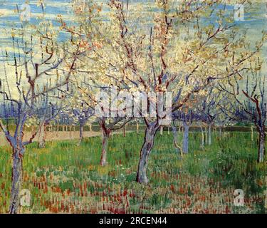 Verger aux abricots en fleurs 1888 ; Arles, Bouches-du-Rhône, France de Vincent van Gogh Banque D'Images
