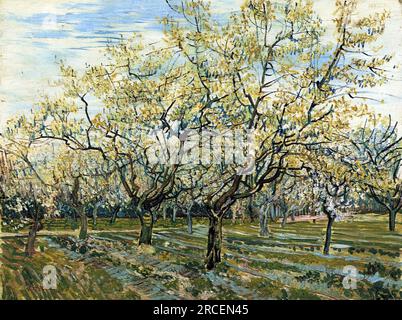Verger aux prunes en fleurs 1888 ; Arles, Bouches-du-Rhône, France de Vincent van Gogh Banque D'Images