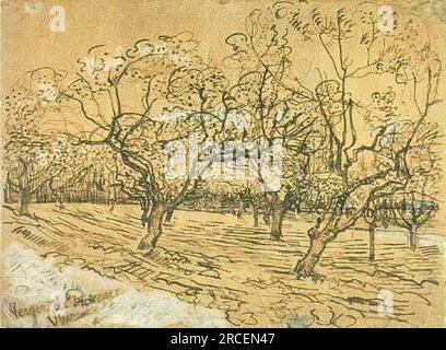 Verger aux prunes en fleurs (le verger blanc) 1888 ; Arles, Bouches-du-Rhône, France de Vincent van Gogh Banque D'Images