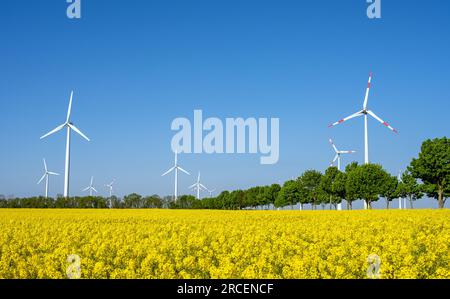 Des éoliennes, des arbres et un champ de canola en fleurs vus en Allemagne Banque D'Images