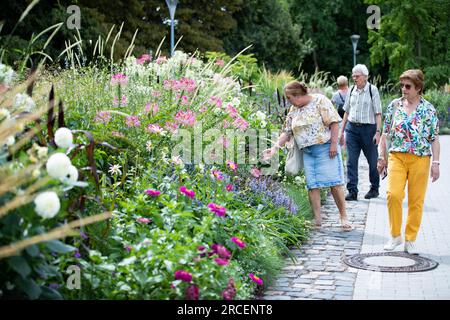 Francfort, Allemagne. 14 juillet 2023. Les touristes visitent le salon des jardins nationaux allemands 2023 à Mannheim, Allemagne, le 14 juillet 2023. Le salon des jardins nationaux allemands de 2023, avec des événements et des attractions, y compris des spectacles floraux, des expositions culturelles, des loisirs et des activités sportives, durera jusqu'au 8 octobre. Crédit : Zhang Fan/Xinhua/Alamy Live News Banque D'Images