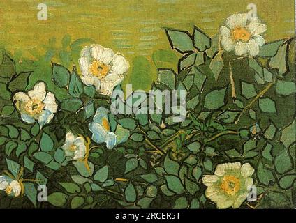 Roses sauvages 1890 ; Auvers-sur-oise, France de Vincent van Gogh Banque D'Images