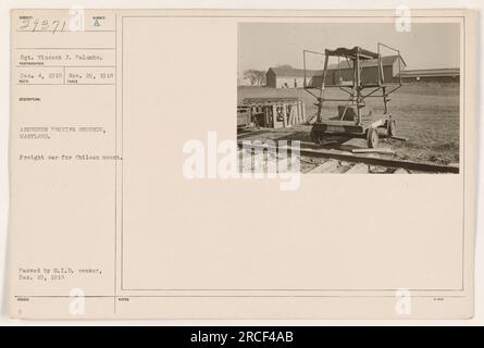 Le sergent Vincent J. Palumbo est photographié à Aberdeen Proving Grounds, Maryland. L'image montre un wagon de marchandises dédié au transport de montures chiliennes. La photographie a été prise le 4 décembre 1918 et a reçu l'approbation du censeur du M.I.D. le 10 décembre 1918. Aucune autre note n'est disponible. Banque D'Images