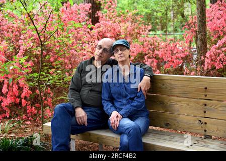 Un couple affectueux s'assoit sur un banc en bois rustique dans l'arboretum de l'Arkansas du Sud, un parc national d'El Dorado, Arkansas. Les azalées roses fleurissent tous les ar Banque D'Images