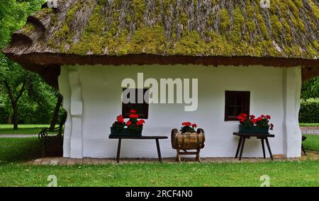 Cave à vin traditionnelle à Moschendorf, Burgenland, Autriche Banque D'Images