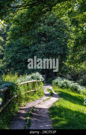 Belle photo de paysage dans le parc de Londres Banque D'Images