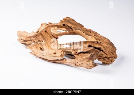Mangrove bois flotté pour la décoration d'un aquarium avec une texture rugueuse sur un fond clair. La silhouette d'un bois flotté se reflète clairement dans un W. Banque D'Images