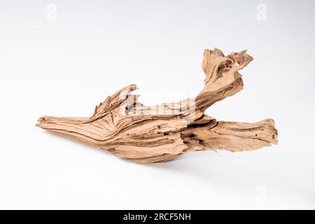 Mangrove bois flotté pour la décoration d'un aquarium avec une texture rugueuse sur un fond clair. La silhouette d'un bois flotté se reflète clairement dans un W. Banque D'Images