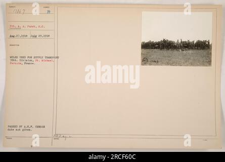 Soldat A.A. Purst, du signal corps, a capturé cette image de mules utilisées pour le transport d'approvisionnement dans la 78e division à St. Michael, Fernois, France. La photographie, qui a reçu le numéro AME 27,1918 par le photographe, porte la marque de censure de l'approbation de l'A.E.P. Cependant, aucune date n'est indiquée sur l'image. Banque D'Images