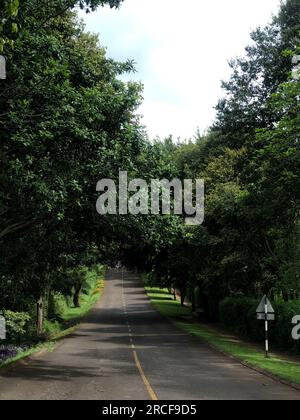 Windsor Golf Hotel & Country Club cet hôtel de golf haut de gamme de style victorien se trouve à 12 km du centre de conventions international Kenyatta et à 14 km de State Banque D'Images