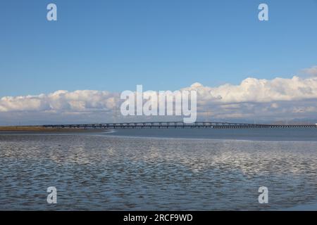 photo du pont dumbarton depuis ravenswood park california Banque D'Images