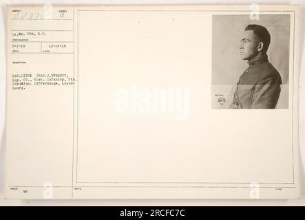 2nd Lieutenant Chas. J. Everett du Sup. Co., 61st Infantry, 5th Division, est photographié à Differdange, Luxembourg. Prise le 1 mars 1919 par le lieutenant Wm. Fox, 8.c., cette photographie fait partie d'une collection documentant les activités militaires américaines pendant la première Guerre mondiale. Banque D'Images