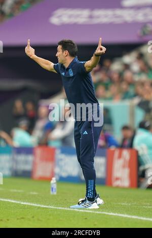 Lusail, Qatar, 26, novembre 2022. Lionel Scaloni D.T. d'Argentine pendant le match entre Argentine vs Mexique, match 24 coupe du monde Fifa Qatar 20 Banque D'Images