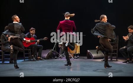 Festival de Flamenco 2023, Sadlers Wells, Londres, Royaume-Uni. 14 juillet 2023. GALA FLAMENCA (14-15 juillet) est la production intergénérationnelle exclusivement masculine avec Manuel Liñán, Alfonso de Losa, El Yiyo et Carrete de Málaga. Liñán revient à Sadler's Wells après le célèbre ¡Viva! En 2022, avec Alfonso de Losa. Ils sont rejoints par Miguel Fernández Ribas, un talent de 27 ans, connu sous le nom d’El Yiyo (au centre). Crédit : Malcolm Park/Alamy Live News Banque D'Images