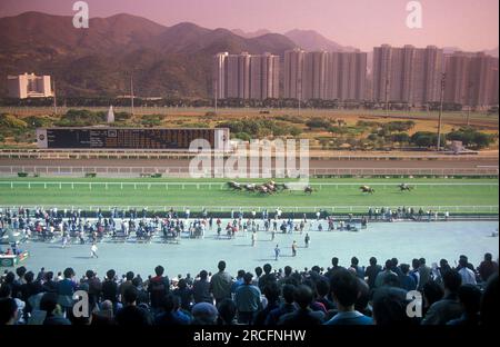 Une course de chevaux à Sha Tin près de la ville de Hongkong dans Hongkong. Chine, Hong Kong, mai 1997 Banque D'Images