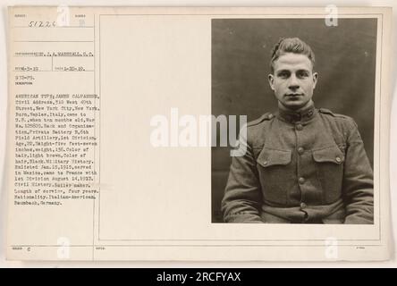 James Calvanese, italo-américain, s'est enrôlé dans l'armée à l'âge de 22 ans. Il sert comme soldat dans la batterie B de la 6e Artillerie de la 1e division. Calvanese est né à Naples, en Italie, mais a immigré aux États-Unis quand il était enfant. Il avait une expérience militaire préalable, servant au Mexique avant de venir en France avec la 1e Division en août 1917. Calvanese a les cheveux brun clair et se dresse à cinq pieds sept pouces de haut, pesant 136 livres. Il avait été chaudronnier dans la vie civile et avait fait quatre ans de service militaire. Cette photographie a été prise à Baumbach, en Allemagne. Banque D'Images