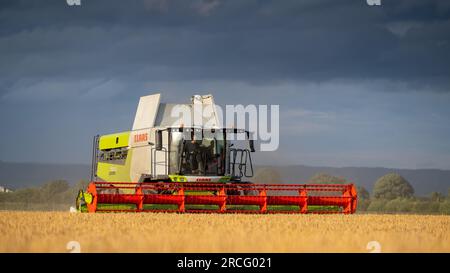 Récolte de l'orge d'hiver avec une moissonneuse-batteuse Claas Lexicon 7500 lors d'une soirée estivale orageuse, Ripon, North Yorkshire, Royaume-Uni. Banque D'Images