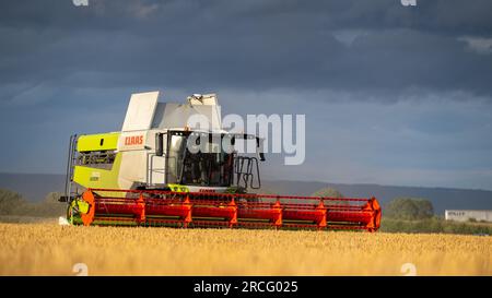 Récolte de l'orge d'hiver avec une moissonneuse-batteuse Claas Lexicon 7500 lors d'une soirée estivale orageuse, Ripon, North Yorkshire, Royaume-Uni. Banque D'Images